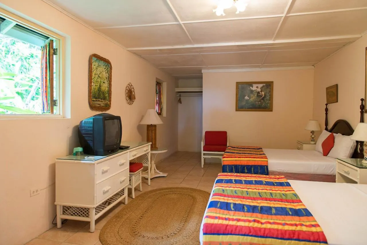 Villa Viento St Mary