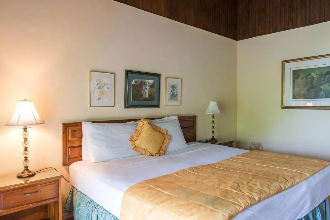 Villa Viento St Mary