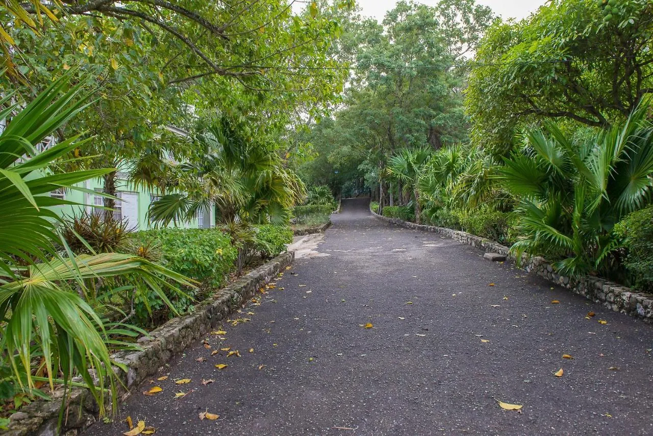 Villa Viento St Mary